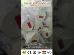 Explosiebestendige Vlambestendige LED-lineaire fluorescerende lampverlichting