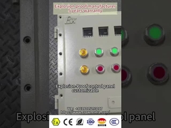 ATEX CNEX Certified Ex Flameproof Control Panel Voor gevaarlijke industriële schepen EPC Oliegas Chemische