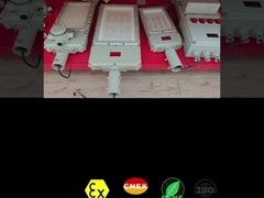 CRI Ra≥80 Explosieveilige LED schijnwerper 50-300 Watt voor gevaarlijke omgevingen