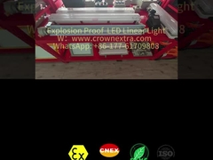 T8 Liner anti-corrosie roestvrij staal Grp Explosiebestendige fluorescerende lamp enkel buis