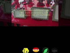 CRI Ra≥80 Explosieveilige LED schijnwerper 50-300 Watt voor gevaarlijke omgevingen