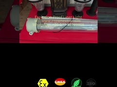 T8 Liner anti-corrosie roestvrij staal Grp Explosiebestendige fluorescerende lamp enkel buis