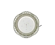 WF2 Explosiebestendige LED-luchten met gegoten aluminium-beugel &gt; 80