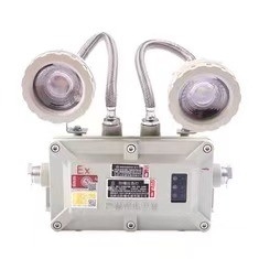 ATEX vlamwerend noodlicht met LED voor binnen- en buitenwandmontage