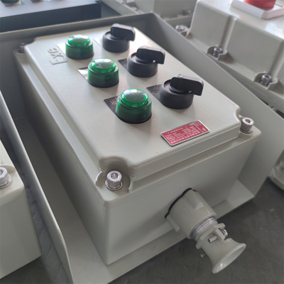 Explosiebestendige distributieboxen IP66 WF2 waterdichte poortterminal gebruikt met ATEX CNEX