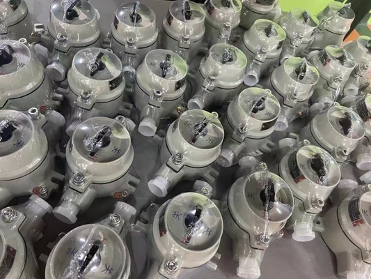 Marine Grade Aluminium 2 Pole 10A Explosion Proof Switch IP66 Dustproof G3/4 Kabel Invoer