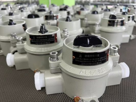 220V / 380V Explosieveilige Elektrische Keuzeschakelaar Met WF2 Grijze Zone 22