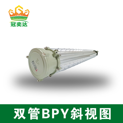 Olie- en gasfaciliteiten IP66 2×18W Dubbele buis LED explosieveilige verlichtingsarmatuur plafond- en wandmontage