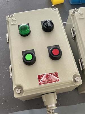 220V ATEX Ex Db IIC T6 Gb Ex-Proof Control Station Gemakkelijk te installeren Geschikt voor productie