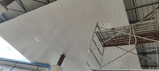 50-60Hz Nominale Spanning Explosieveilige LED Schijnwerper CE Gecertificeerd en 100-250w Vermogen voor Industriële Toepassingen