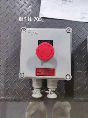 Gemaakt in China ATEX 220V/380V BLK IP65 explosieveilige isolatieschakelaar geschikt voor wandmontage