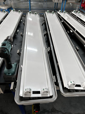 Hoge sterkte GRP-materiaal 600 mm Ex-proof lineair licht anti-explosieve fluorescerende lamp voor industriële veiligheid
