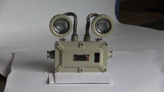 ATEX 2*3W LED dubbelkopend noodlicht Twin Spots Explosiebestendige noodlicht voor chemische installaties