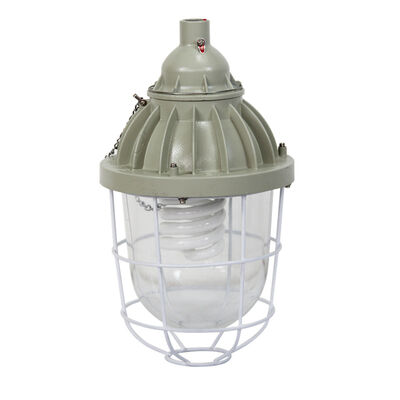 ATEX Certified Explosion Proof HID Lamp IP65 Rated Ceiling Pendant Wall Mounting Suitable for Industrial Hazardous Zones