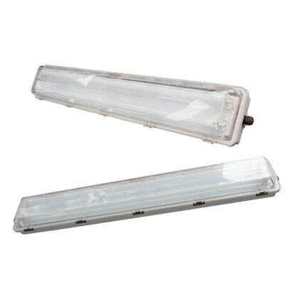 Pendelmontage Anti-explosieve Fluorescentielamp 2 18w 2 36w Explosieveilige Fluorescerende Verlichting voor Zware Industrie