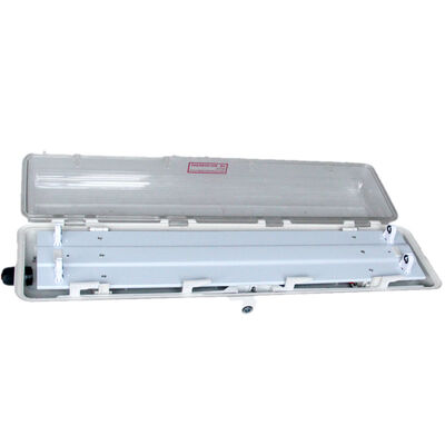 Ex Mark Ex Db Eb IIC T6 Gb Explosieveilige TL-armatuur met IP66 WF2 beschermingsniveau voor prestaties
