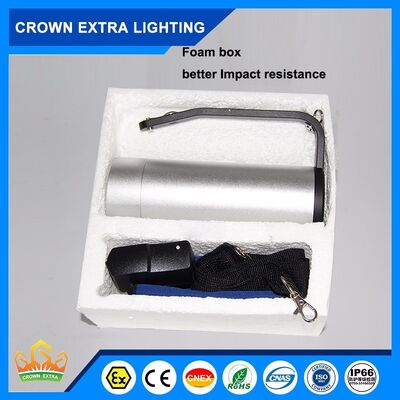 100Watt Explosion Proof LED Lighting Including 16 Hours Emergency Time LED Light Source Suitable for Hazardous Locations