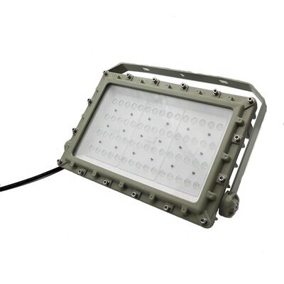 OEM explosiebestendige LED-overstroming lichten CRI Ra80 IP66 WF2 bescherming Ontworpen voor gevaarlijke omgevingen Industriële verlichting