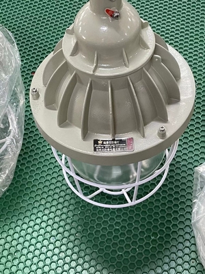 200W 400W Krachtige ATEX-gecertificeerde Explosieveilige HID-lamp Montage Plafond/Hangend/Wand Stroomverbruik 150-400 Watt