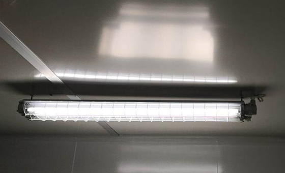 EX 2*20w dubbel led buis Fluorescerend licht 100Lm/W 12 inch 18 inch Explosiebestendige lineaire LED-licht