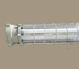 Ex Db Eb IIC T6 Gb/Ex Tb IIIC T80C Db 600 mm explosiebestendige fluorescerende lamp voor zone 1 2 Veiligheidsklasse II