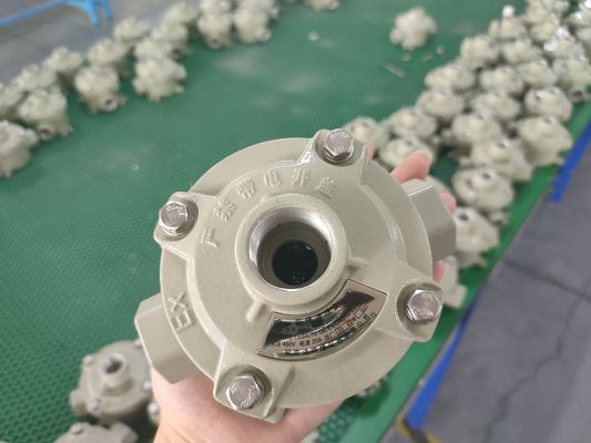 Kabelspecificatie 9mm 13mm Explosiebestendige schakelaar Marine Grade Aluminium 10A Stroom Industrial Control Schakelaar Voor Gevaarlijke Gebieden