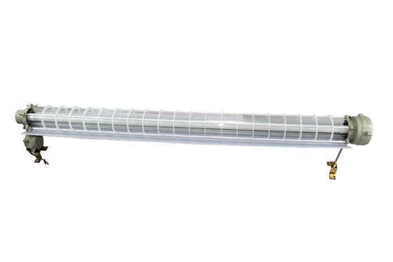 Ex Db Eb IIC T6 Gb/Ex Tb IIIC T80C Db 600 mm explosiebestendige fluorescerende lamp voor zone 1 2 Veiligheidsklasse II