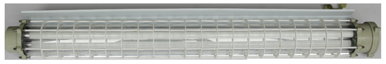Ex Db Eb IIC T6 Gb/Ex Tb IIIC T80C Db 600 mm explosiebestendige fluorescerende lamp voor zone 1 2 Veiligheidsklasse II