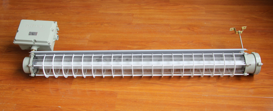 Ex Db Eb IIC T6 Gb/Ex Tb IIIC T80C Db 600 mm explosiebestendige fluorescerende lamp voor zone 1 2 Veiligheidsklasse II