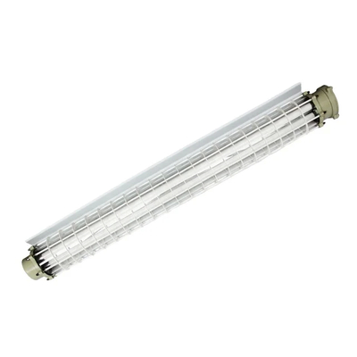 Vastleggingsstukken van roestvrij staal 1200 mm 50/60 Hz Ex-proof fluorescerend licht L700*W700*H90 Voor gasleidingen