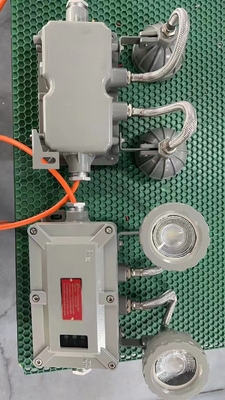 ATEX vlamwerend noodlicht met LED voor binnen- en buitenwandmontage