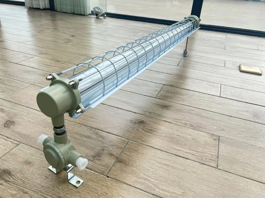 Ex Db Eb IIC T6 Gb/Ex Tb IIIC T80C Db 600 mm explosiebestendige fluorescerende lamp voor zone 1 2 Veiligheidsklasse II