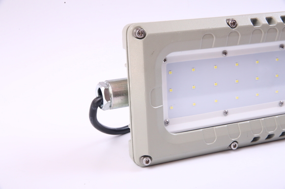 Goede prestaties 50w explosiebestendige lijnlicht WF2 100lm/w Ex-proof fluorescerend licht met led-chips
