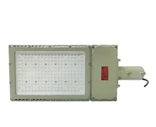 50W Ex Proof LED Flood Light met helderheid en verschillende montageopties