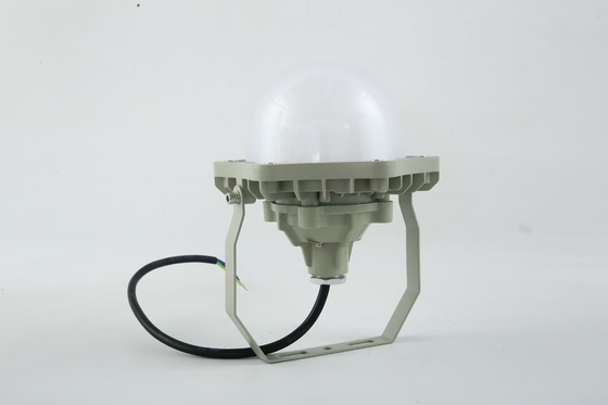 100W Explosion Proof High Bay Light AC220V 50/60Hz IP66 met 70±2CRI Nieuw ontwerp Best Selling Products Prijs Workshop
