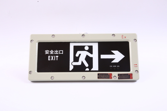 BYY-3w-IP65 Vlamwerend noodlicht 120 minuten LED 220VAC 24/36VDC 3000/4000/5000/5700K