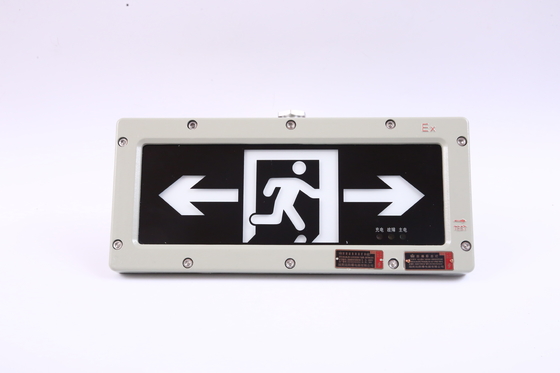 BYY-3w-IP65 Vlamwerend noodlicht 120 minuten LED 220VAC 24/36VDC 3000/4000/5000/5700K