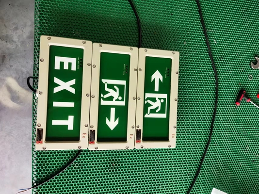 OEM Compacte Explosieveilige Nooduitgangsverlichting – CRI ≥70, ATEX / IECEx / RoHS / CNEX / ISO9001 Gecertificeerd, Aanpasbaar Ontwerp voor Gevaarlijke Gebieden