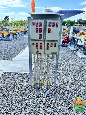 Wandmontage 2 mm explosiebestendige vlamwerende bedieningspanele met beschermingsniveau van IP66 WF2 gecertificeerd door ATEX