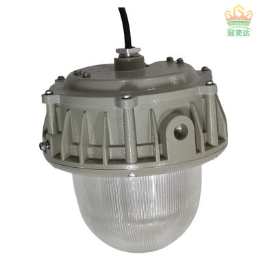 50-100W explosiebestendige LED-verlichting met MEANWELL-driver en CREE-chip