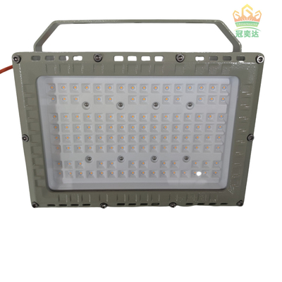 50W 100W 200W 250W Explosiebestendige LED-overstromingstraal Gecertificeerd ATEX IECEx RoHS CNEX ISO9001