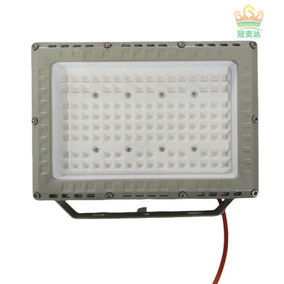 MEANWELL Drive IP66 Outdoor LED Floodlight Custom Color 100-277V Markt 100W