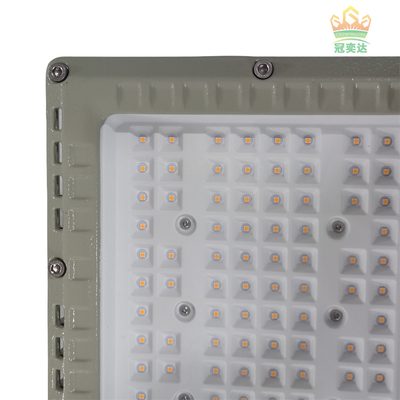 MEANWELL Drive IP66 Outdoor LED Floodlight Custom Color 100-277V Markt 100W