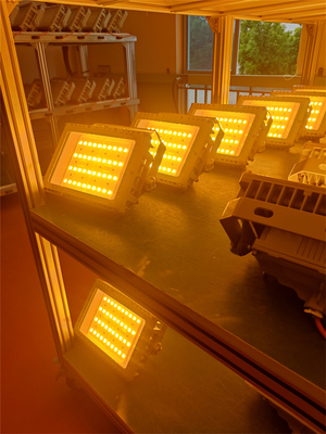 50W 100W 200W 250W Explosiebestendige LED-overstromingstraal Gecertificeerd ATEX IECEx RoHS CNEX ISO9001