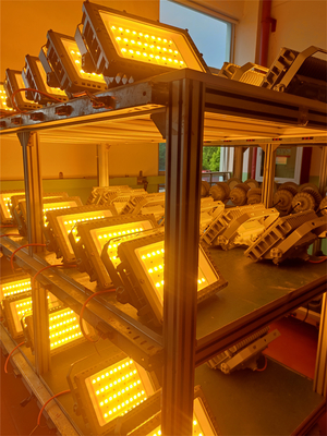 50W 100W 200W 250W Explosiebestendige LED-overstromingstraal Gecertificeerd ATEX IECEx RoHS CNEX ISO9001