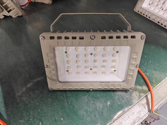ATEX IECEx RoHS ISO9001 50W explosiebestendige LED-overstromingslicht voor gevaarlijke afvalinstallaties