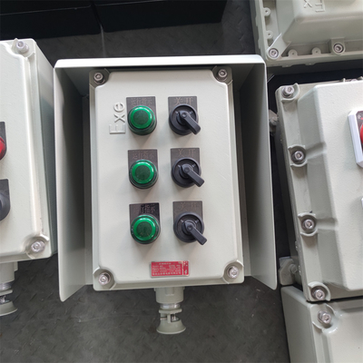 Explosiebestendige distributieboxen IP66 WF2 waterdichte poortterminal gebruikt met ATEX CNEX