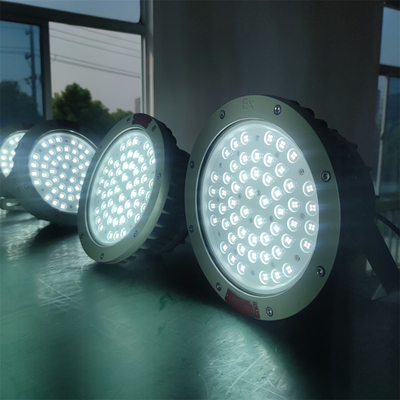WF2-graad CREE Vlamvast LED-baklamp IP66 voor uitdagende omgevingen