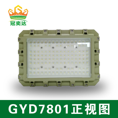ATEX explosiebestendige LED-stroomlamp met 50000 uur levensduur IP66 WF2 bescherming IECEx gecertificeerd
