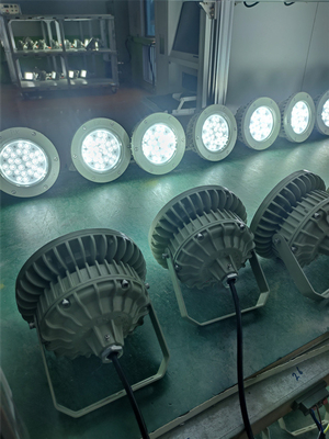 Ex Proof High Bay Light 180lm/w ATEX Corrosiebestendige IP66 Led Buitenplafondlicht 50W-250W
